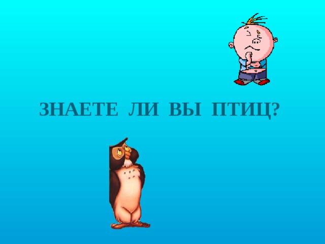 ЗНАЕТЕ ЛИ ВЫ ПТИЦ? 