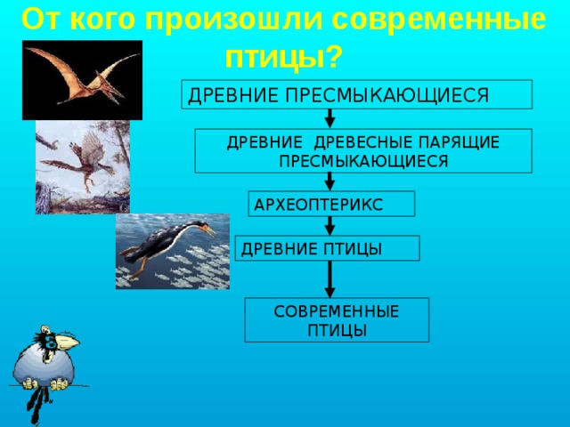 От кого произошли современные птицы? ДРЕВНИЕ ПРЕСМЫКАЮЩИЕСЯ ДРЕВНИЕ ДРЕВЕСНЫЕ ПАРЯЩИЕ ПРЕСМЫКАЮЩИЕСЯ АРХЕОПТЕРИКС ДРЕВНИЕ ПТИЦЫ СОВРЕМЕННЫЕ ПТИЦЫ 