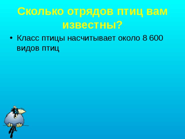 Сколько отрядов птиц вам известны? Класс птицы насчитывает около 8 600 видов птиц 