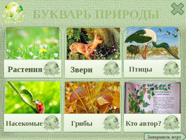 БУКВАРЬ ПРИРОДЫ  Растения  Птицы  Звери  Грибы Кто автор? Насекомые Завершить игру  
