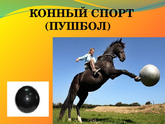 КОННЫЙ СПОРТ  (ПУШБОЛ) 