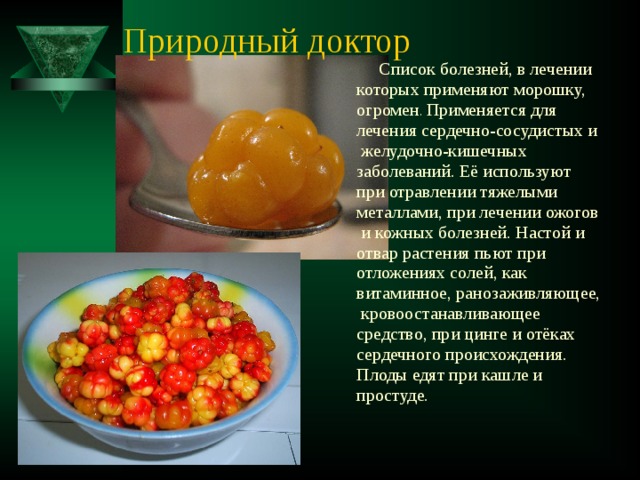 Природный доктор  Список болезней, в лечении которых применяют морошку, огромен . Применяется для лечения сердечно-сосудистых и  желудочно-кишечных заболеваний. Её используют при отравлении тяжелыми металлами, при лечении ожогов  и кожных болезней. Настой и отвар растения пьют при отложениях солей, как витаминное, ранозаживляющее,  кровоостанавливающее средство, при цинге и отёках сердечного происхождения. Плоды едят при кашле и простуде. 