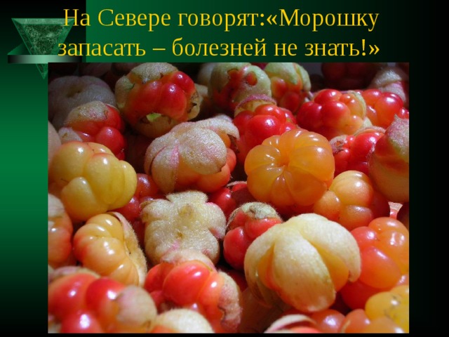 На Севере говорят:«Морошку запасать – болезней не знать!»    