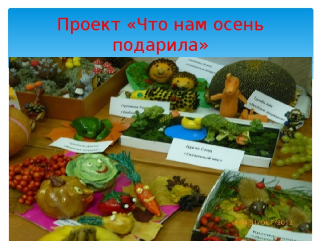 Проект «Что нам осень подарила» 