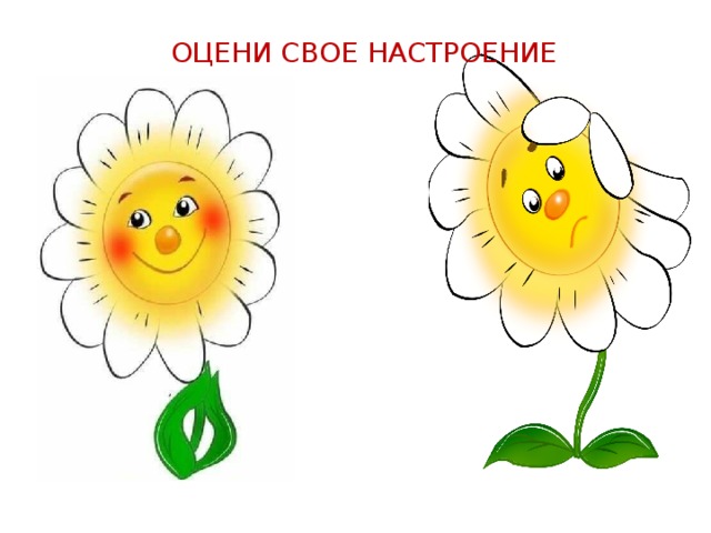 ОЦЕНИ СВОЕ НАСТРОЕНИЕ 