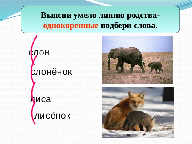 Выясни умело линию родства- однокоренные подбери слова.  слон слонёнок лиса лисёнок 