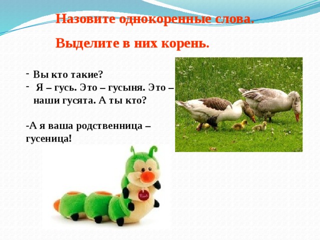 Назовите однокоренные слова. Выделите в них корень.    Вы кто такие?  Я – гусь. Это – гусыня. Это – наши гусята. А ты кто?  -А я ваша родственница – гусеница!   
