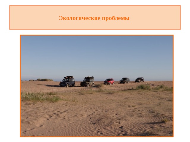 Экологические проблемы   