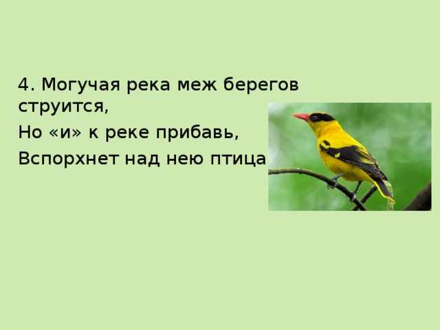 4. Могучая река меж берегов струится, Но «и» к реке прибавь, Вспорхнет над нею птица. 