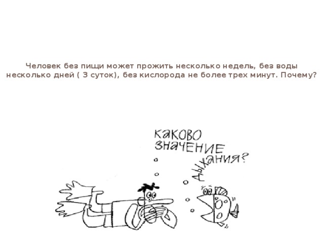 Человек без пищи может прожить несколько недель, без воды несколько дней ( 3 суток), без кислорода не более трех минут. Почему?   