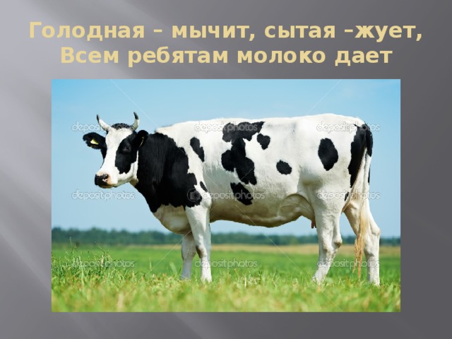 Голодная – мычит, сытая –жует,  Всем ребятам молоко дает 