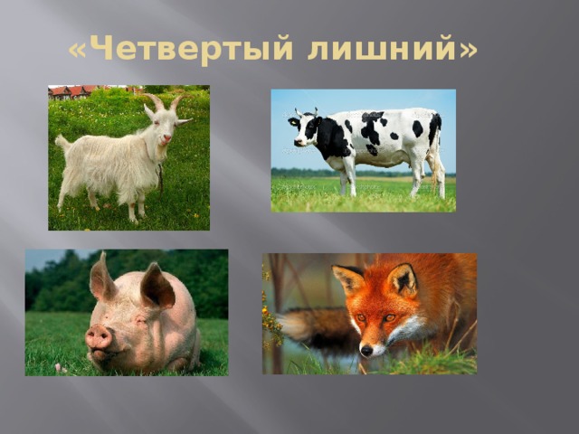 «Четвертый лишний» 