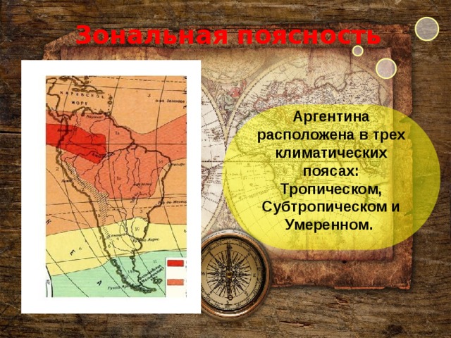 Зональная поясность Аргентина расположена в трех климатических поясах: Тропическом, Субтропическом и Умеренном.    