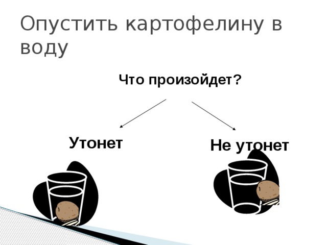 Опустить картофелину в воду  Что произойдет? Утонет Не утонет 