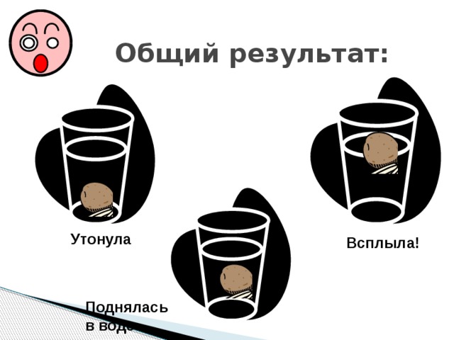  Общий результат: Утонула Всплыла! Поднялась в воде 