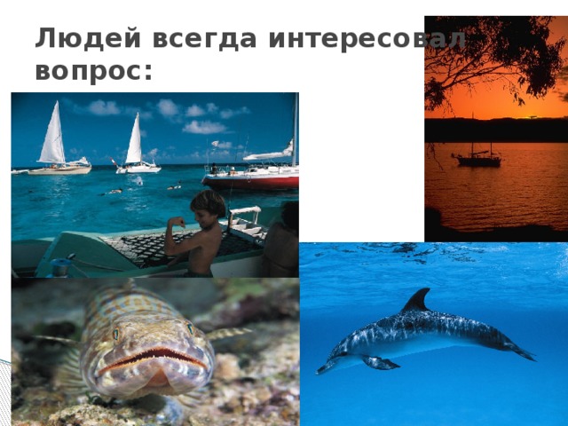 Людей всегда интересовал вопрос: 