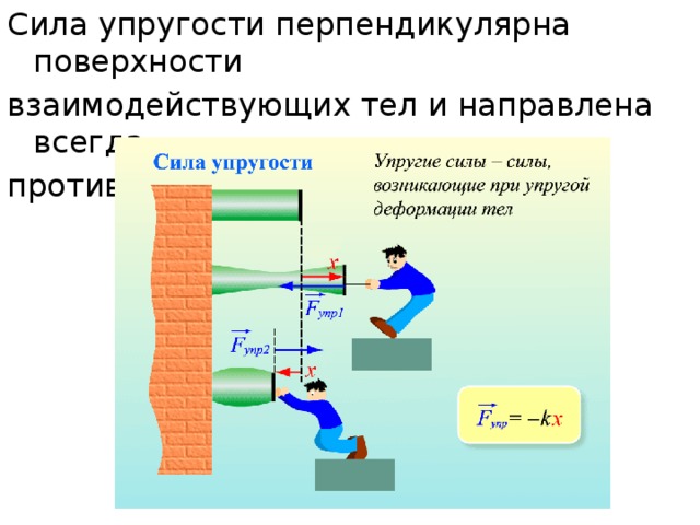 Сила упругости перпендикулярна поверхности взаимодействующих тел и направлена всегда против деформации. 