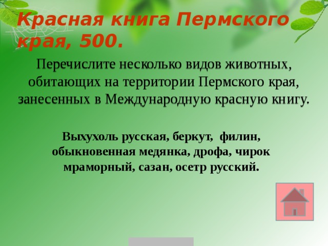 Красная книга Пермского края, 500. Перечислите несколько видов животных, обитающих на территории Пермского края, занесенных в Международную красную книгу. Выхухоль русская, беркут, филин, обыкновенная медянка, дрофа, чирок мраморный, сазан, осетр русский. 