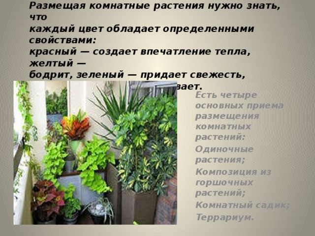 Размещая комнатные растения нужно знать, что  каждый цвет обладает определенными свойствами:  красный — создает впечатление тепла, желтый —  бодрит, зеленый — придает свежесть, тишину, белый — успокаивает. Есть четыре основных приема размещения комнатных растений: Одиночные растения; Композиция из горшочных растений; Комнатный садик; Террариум. 