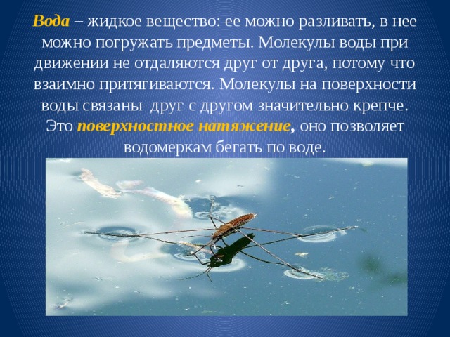 Вода  – жидкое вещество: ее можно разливать, в нее можно погружать предметы. Молекулы воды при движении не отдаляются друг от друга, потому что взаимно притягиваются. Молекулы на поверхности воды связаны друг с другом значительно крепче. Это поверхностное натяжение , оно позволяет водомеркам бегать по воде. 