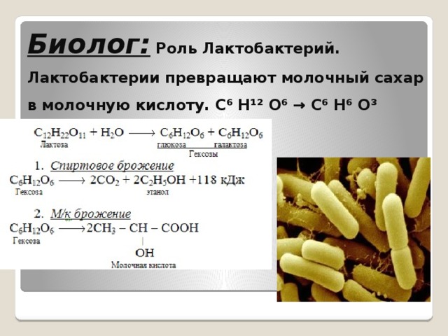 Историк: Сыр в России Впервые в Россию Голандский сыр привёз царь Пётр I. Промышленное производство было наложено в 1886 году в Тверской губернии. 