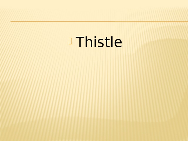 Thistle 