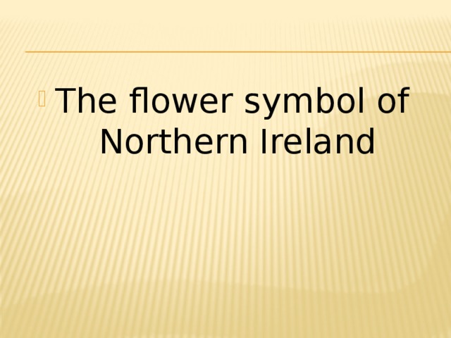 The flower symbol of Northern Ireland 