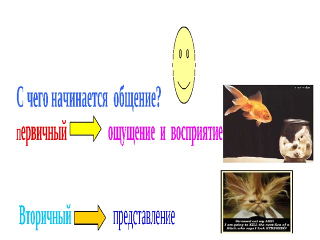 П ервичный  ощущение и восприятие  Вторичный   представление 