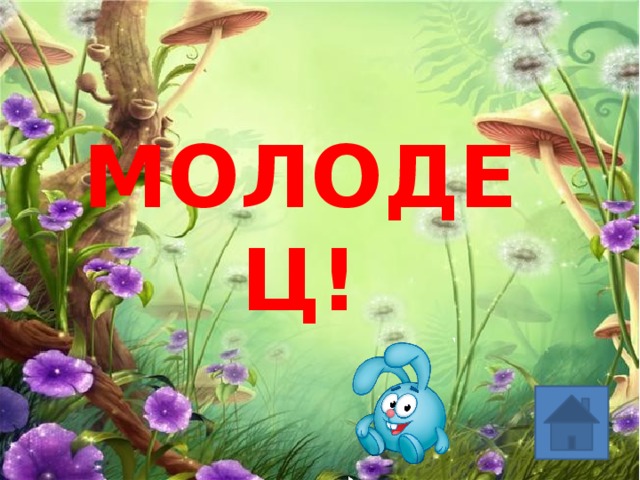 МОЛОДЕЦ! - 