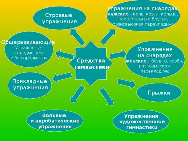 Упражнения на снарядах: мужские  – конь, козёл, кольца, параллельные брусья, разновысокая перекладина Строевые упражнения Общеразвивающие Упражнения  с предметами и без предметов Средства  гимнастики Упражнения  на снарядах: женские – бревно, козёл, разновысокая перекладина Прикладные  упражнения Прыжки Вольные и акробатические упражнения Упражнения  художественной  гимнастики 