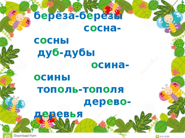 б е рёза-б е рёзы с о сна-с о сны  ду б -дубы о сина- о сины  топ о л ь -т о п о ля дер е в о -д е рев ь я 