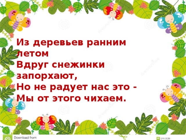 Из деревьев ранним летом  Вдруг снежинки запорхают,  Но не радует нас это -  Мы от этого чихаем. 