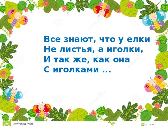 Все знают, что у елки  Не листья, а иголки,  И так же, как она  С иголками ... 