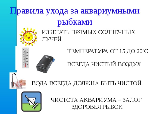 Инструкция как ухаживать за. Правила ухода за аквариумными рыбками. Уходу за аквариумом памятка. Памятка по уходу за аквариумными рыбками. Памятка как ухаживать за рыбками в аквариуме.