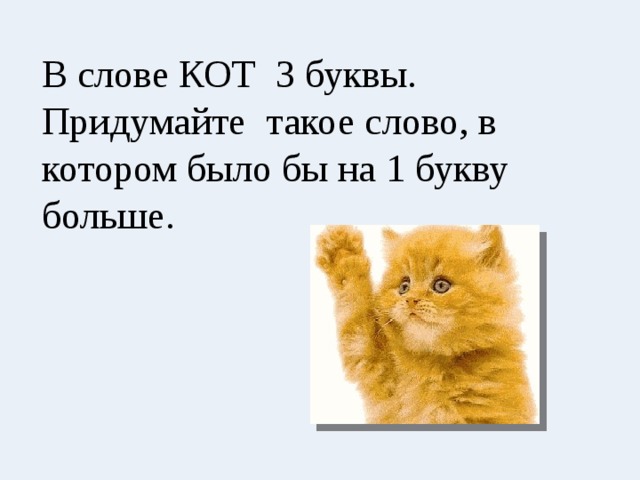 Котик текст