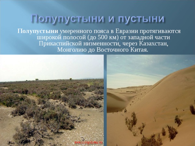 Полупустыни умеренного пояса в Евразии протягиваются широкой полосой (до 500 км) от западной части Прикаспийской низменности, через Казахстан, Монголию до Восточного Китая. 