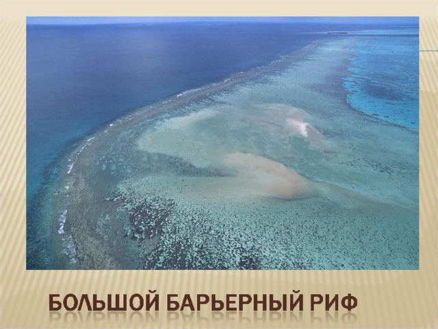 Большой Барьерный риф - одно из самых больших чудес на свете. Протяженностью 1000 км, он включает в себя до 700 тропических островов и коралловых обнажений.  