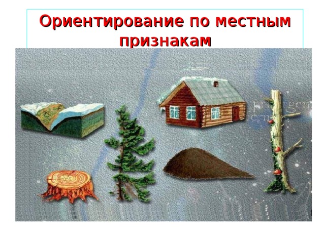 Ориентирование по местным признакам 