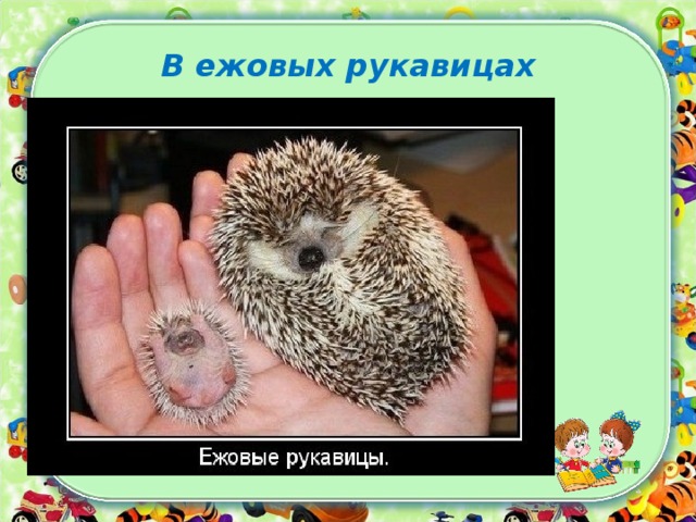 2 класс.Школа развития речи. Фразеологизмы. 8 занятие.