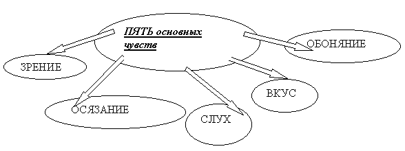 Схема как человек познает мир