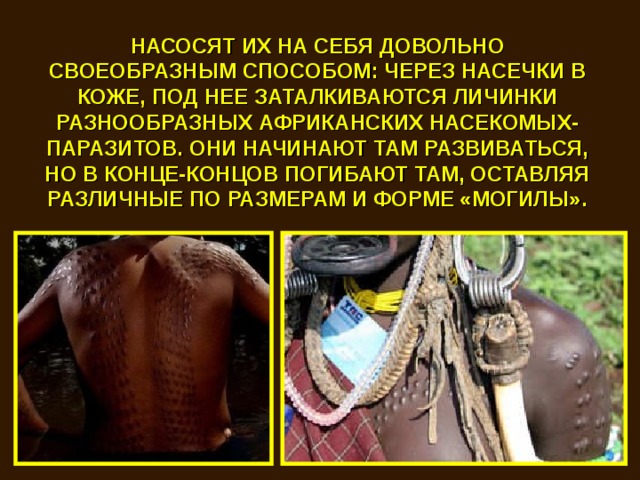 НАСОСЯТ ИХ НА СЕБЯ ДОВОЛЬНО СВОЕОБРАЗНЫМ СПОСОБОМ: ЧЕРЕЗ НАСЕЧКИ В КОЖЕ, ПОД НЕЕ ЗАТАЛКИВАЮТСЯ ЛИЧИНКИ РАЗНООБРАЗНЫХ АФРИКАНСКИХ НАСЕКОМЫХ-ПАРАЗИТОВ. ОНИ НАЧИНАЮТ ТАМ РАЗВИВАТЬСЯ, НО В КОНЦЕ-КОНЦОВ ПОГИБАЮТ ТАМ, ОСТАВЛЯЯ РАЗЛИЧНЫЕ ПО РАЗМЕРАМ И ФОРМЕ «МОГИЛЫ». 