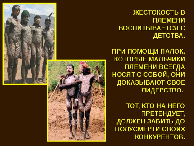 ЖЕСТОКОСТЬ В ПЛЕМЕНИ ВОСПИТЫВАЕТСЯ С ДЕТСТВА.  ПРИ ПОМОЩИ ПАЛОК, КОТОРЫЕ МАЛЬЧИКИ ПЛЕМЕНИ ВСЕГДА НОСЯТ С СОБОЙ, ОНИ ДОКАЗЫВАЮТ СВОЕ ЛИДЕРСТВО.  ТОТ, КТО НА НЕГО ПРЕТЕНДУЕТ, ДОЛЖЕН ЗАБИТЬ ДО ПОЛУСМЕРТИ СВОИХ КОНКУРЕНТОВ. 