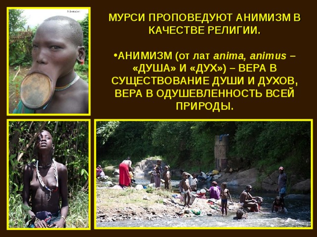 МУРСИ ПРОПОВЕДУЮТ АНИМИЗМ В КАЧЕСТВЕ РЕЛИГИИ.  АНИМИЗМ (от лат anima , animus  – «ДУША» И «ДУХ») – ВЕРА В СУЩЕСТВОВАНИЕ ДУШИ И ДУХОВ, ВЕРА В ОДУШЕВЛЕННОСТЬ ВСЕЙ ПРИРОДЫ. 