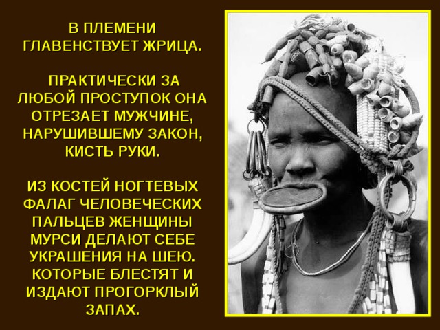 В ПЛЕМЕНИ ГЛАВЕНСТВУЕТ ЖРИЦА.   ПРАКТИЧЕСКИ ЗА ЛЮБОЙ ПРОСТУПОК ОНА ОТРЕЗАЕТ МУЖЧИНЕ, НАРУШИВШЕМУ ЗАКОН, КИСТЬ РУКИ.  ИЗ КОСТЕЙ НОГТЕВЫХ ФАЛАГ ЧЕЛОВЕЧЕСКИХ ПАЛЬЦЕВ ЖЕНЩИНЫ МУРСИ ДЕЛАЮТ СЕБЕ УКРАШЕНИЯ НА ШЕЮ. КОТОРЫЕ БЛЕСТЯТ И ИЗДАЮТ ПРОГОРКЛЫЙ ЗАПАХ. 