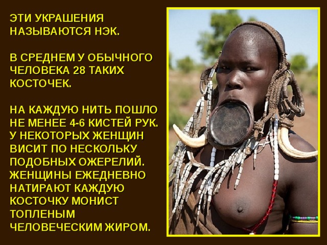 ЭТИ УКРАШЕНИЯ НАЗЫВАЮТСЯ НЭК.  В СРЕДНЕМ У ОБЫЧНОГО ЧЕЛОВЕКА 28 ТАКИХ КОСТОЧЕК.  НА КАЖДУЮ НИТЬ ПОШЛО НЕ МЕНЕЕ 4-6 КИСТЕЙ РУК. У НЕКОТОРЫХ ЖЕНЩИН ВИСИТ ПО НЕСКОЛЬКУ ПОДОБНЫХ ОЖЕРЕЛИЙ. ЖЕНЩИНЫ ЕЖЕДНЕВНО НАТИРАЮТ КАЖДУЮ КОСТОЧКУ МОНИСТ ТОПЛЕНЫМ ЧЕЛОВЕЧЕСКИМ ЖИРОМ. 