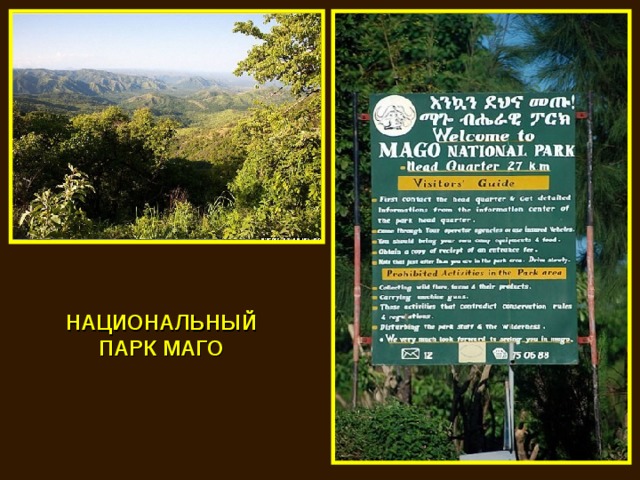НАЦИОНАЛЬНЫЙ ПАРК МАГО 