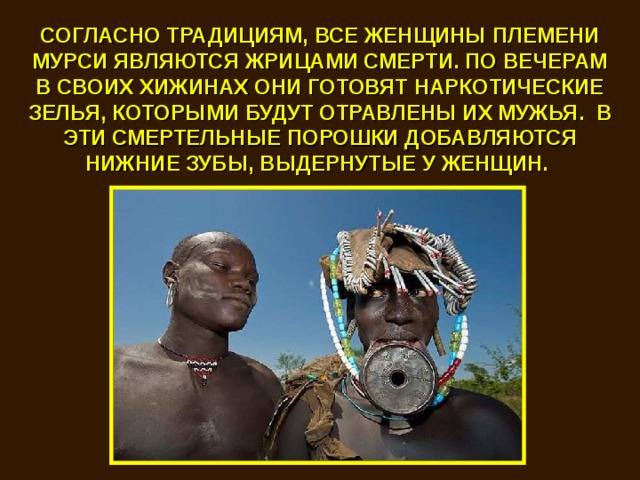 СОГЛАСНО ТРАДИЦИЯМ, ВСЕ ЖЕНЩИНЫ ПЛЕМЕНИ МУРСИ ЯВЛЯЮТСЯ ЖРИЦАМИ СМЕРТИ. ПО ВЕЧЕРАМ В СВОИХ ХИЖИНАХ ОНИ ГОТОВЯТ НАРКОТИЧЕСКИЕ ЗЕЛЬЯ, КОТОРЫМИ БУДУТ ОТРАВЛЕНЫ ИХ МУЖЬЯ. В ЭТИ СМЕРТЕЛЬНЫЕ ПОРОШКИ ДОБАВЛЯЮТСЯ НИЖНИЕ ЗУБЫ, ВЫДЕРНУТЫЕ У ЖЕНЩИН. 