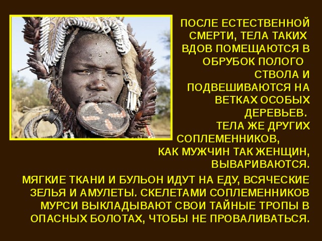 ПОСЛЕ ЕСТЕСТВЕННОЙ СМЕРТИ, ТЕЛА ТАКИХ ВДОВ ПОМЕЩАЮТСЯ В ОБРУБОК ПОЛОГО СТВОЛА И ПОДВЕШИВАЮТСЯ НА ВЕТКАХ ОСОБЫХ ДЕРЕВЬЕВ. ТЕЛА ЖЕ ДРУГИХ СОПЛЕМЕННИКОВ, КАК МУЖЧИН ТАК ЖЕНЩИН, ВЫВАРИВАЮТСЯ. МЯГКИЕ ТКАНИ И БУЛЬОН ИДУТ НА ЕДУ, ВСЯЧЕСКИЕ ЗЕЛЬЯ И АМУЛЕТЫ. СКЕЛЕТАМИ СОПЛЕМЕННИКОВ МУРСИ ВЫКЛАДЫВАЮТ СВОИ ТАЙНЫЕ ТРОПЫ В ОПАСНЫХ БОЛОТАХ, ЧТОБЫ НЕ ПРОВАЛИВАТЬСЯ. 