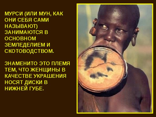 МУРСИ (ИЛИ МУН, КАК ОНИ СЕБЯ САМИ НАЗЫВАЮТ) ЗАНИМАЮТСЯ В ОСНОВНОМ ЗЕМЛЕДЕЛИЕМ И СКОТОВОДСТВОМ.  ЗНАМЕНИТО ЭТО ПЛЕМЯ ТЕМ, ЧТО ЖЕНЩИНЫ В КАЧЕСТВЕ УКРАШЕНИЯ НОСЯТ ДИСКИ В НИЖНЕЙ ГУБЕ.  