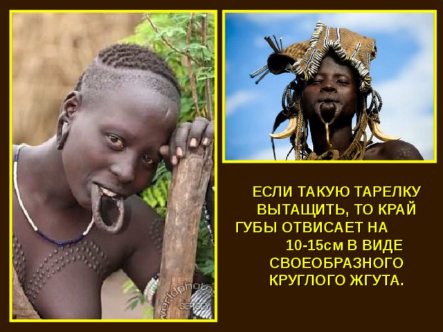 ЕСЛИ ТАКУЮ ТАРЕЛКУ ВЫТАЩИТЬ, ТО КРАЙ ГУБЫ ОТВИСАЕТ НА 10-15см В ВИДЕ СВОЕОБРАЗНОГО КРУГЛОГО ЖГУТА. 